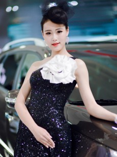 北京车展的性感靓丽车模照片