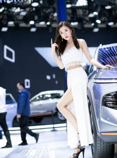 性感火辣美女车模细腰美腿套图